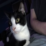 Tucker Stare-2